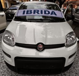
										FIAT PANDA 1.0 2022 HYBRID full									